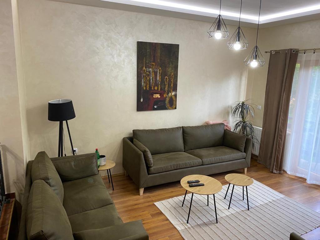 Apartments Vila Knez Zlatibor Bilik gambar