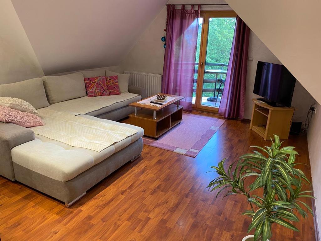 Apartments Vila Knez Zlatibor Bilik gambar