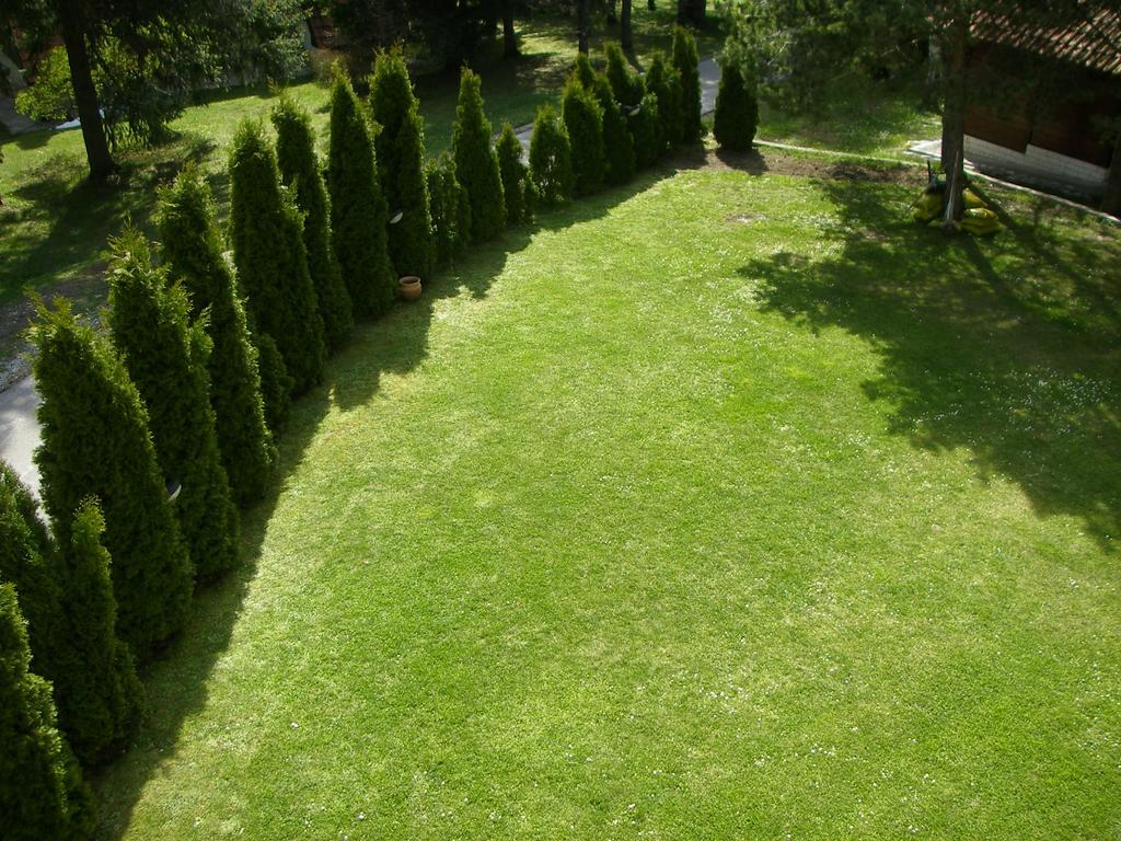 Apartments Vila Knez Zlatibor Luaran gambar